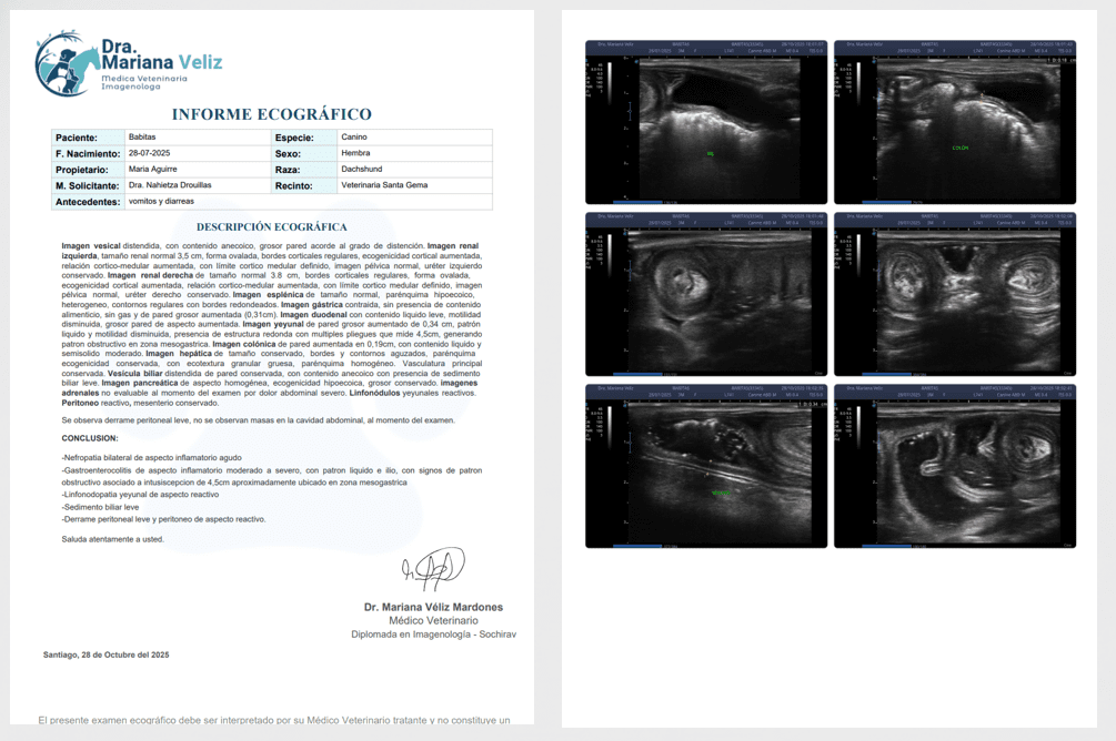 screenshot 2025 10 31 145322